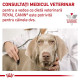 Royal Canin Veterinary Canine Urinary S/O – Hrană Uscată Dietetică pentru Câini cu Probleme Urinare , 2 kg